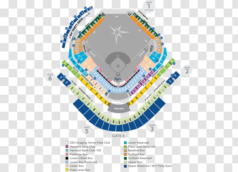 Tropicana Field Tampa Bay Rays Stadium Lightning Storm - Area - Baseball Transparent PNG
