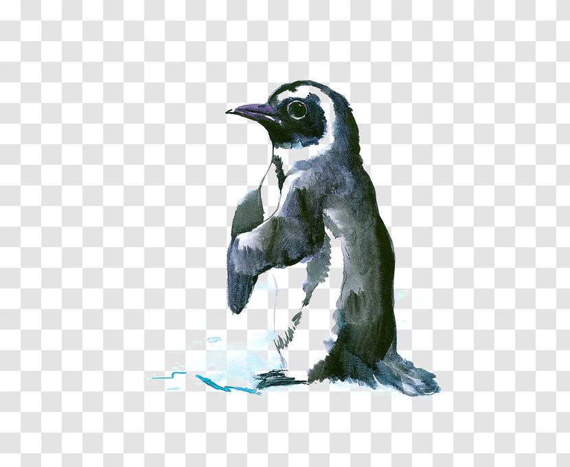 Penguin Bird Antarctic Drawing Painting Transparent PNG
