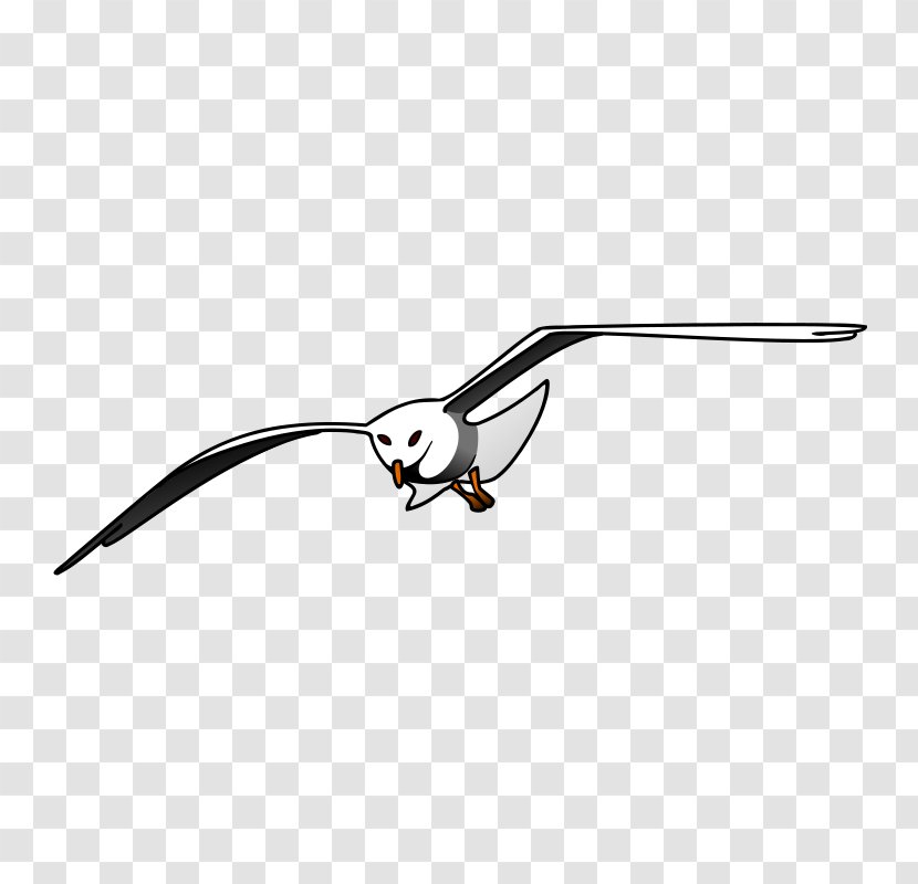 Gulls European Herring Gull Bird Clip Art - Seagull Graphics Transparent PNG