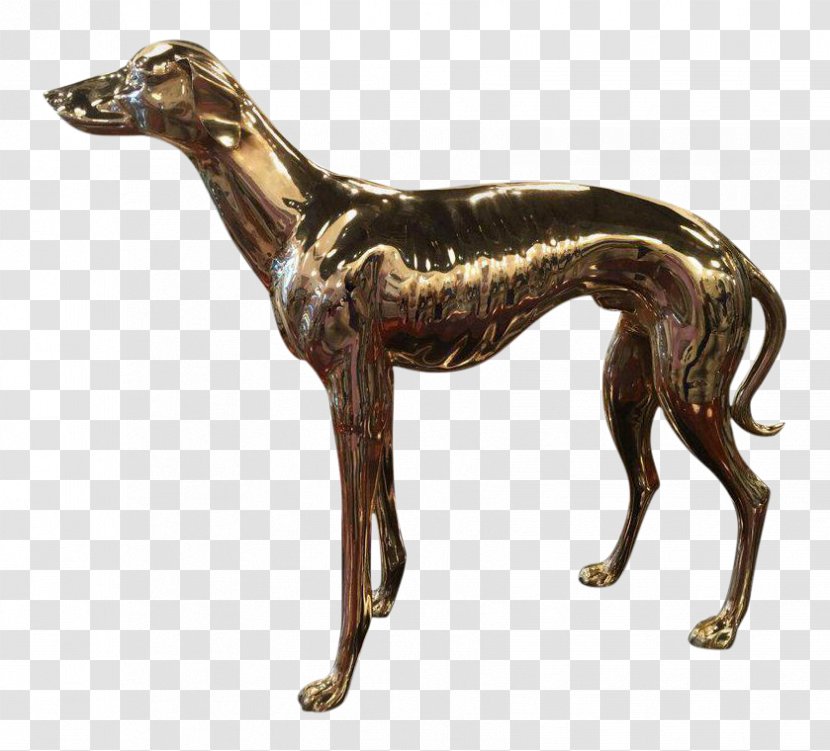 Whippet Italian Greyhound Pharaoh Hound Ark Encounter - Dog Breed - Sighthound Transparent PNG