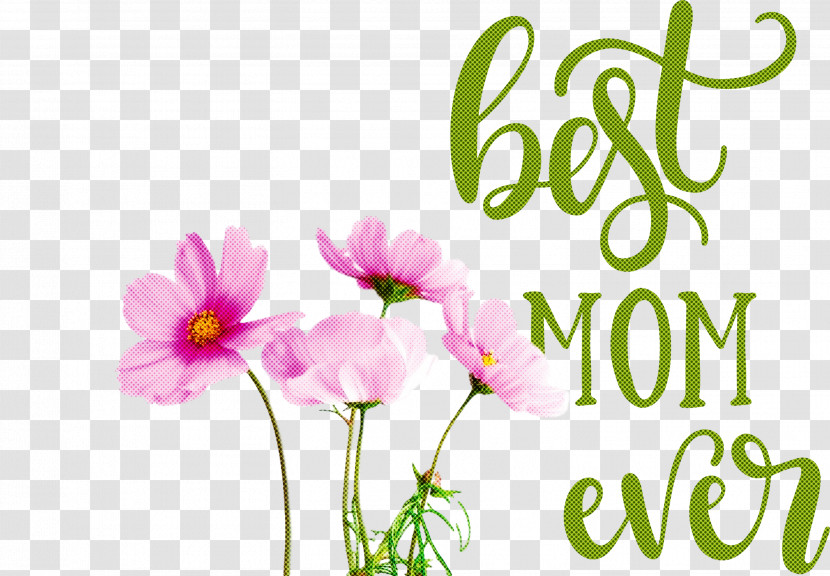 Mothers Day Best Mom Ever Mothers Day Quote Transparent PNG