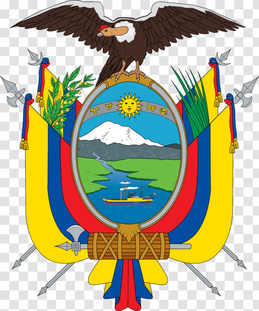Flag Of Ecuador Coat Arms National Symbols - Artwork - Usa Gerb Transparent PNG