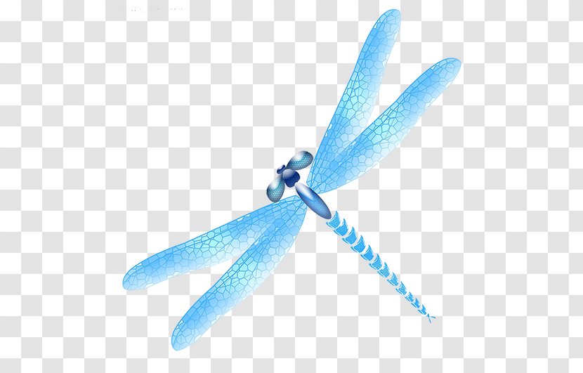 Dragonfly Blue Icon - Insect Wing Transparent PNG