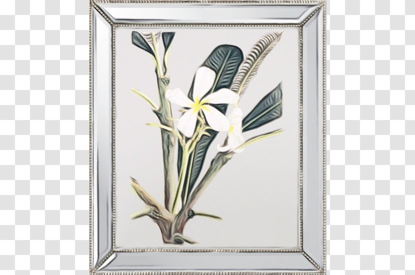 Watercolor Background Frame - Wildflower - Tray Perennial Plant Transparent PNG
