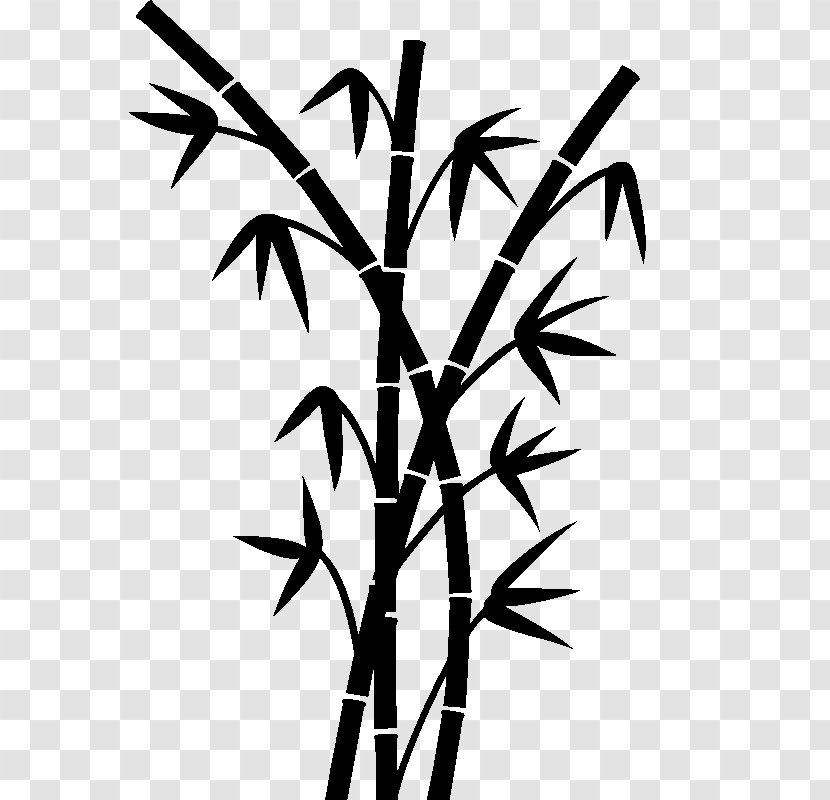 Bambou Drawing Tropical Woody Bamboos Plant Stem - Black And White Transparent PNG