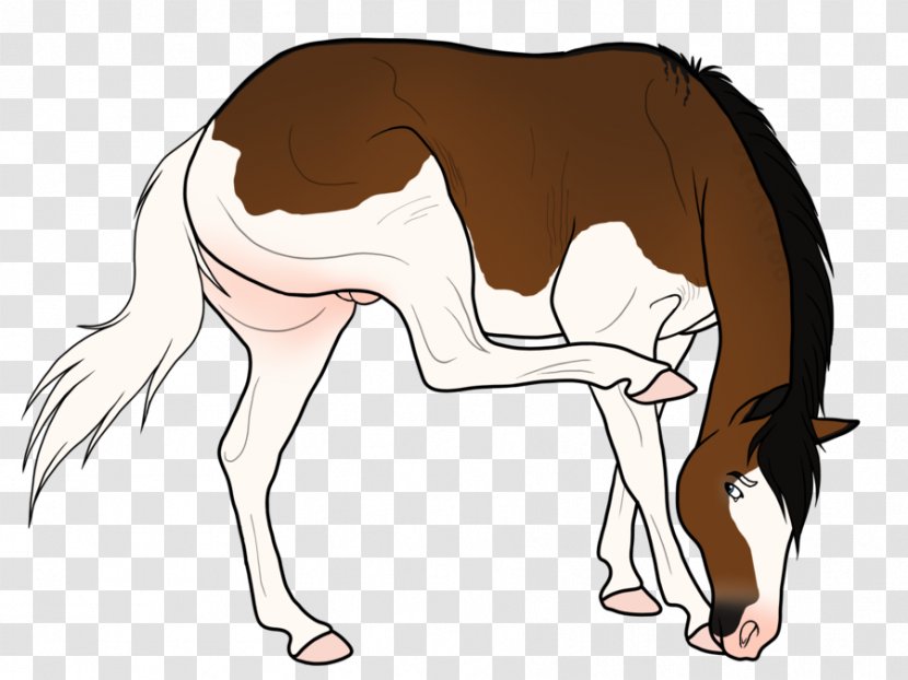 Pony Foal Mustang Colt Stallion - Tree Transparent PNG