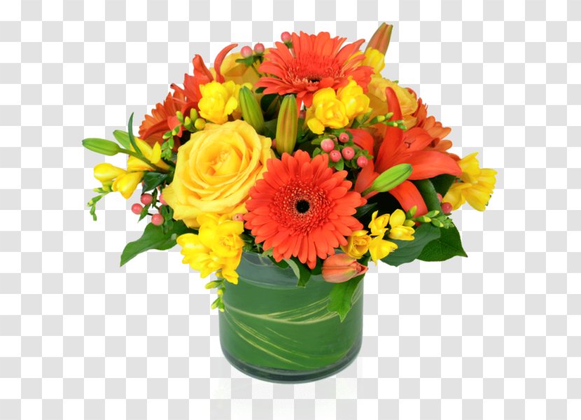 Transvaal Daisy Cut Flowers Flower Bouquet Floral Design - Gerbera Transparent PNG