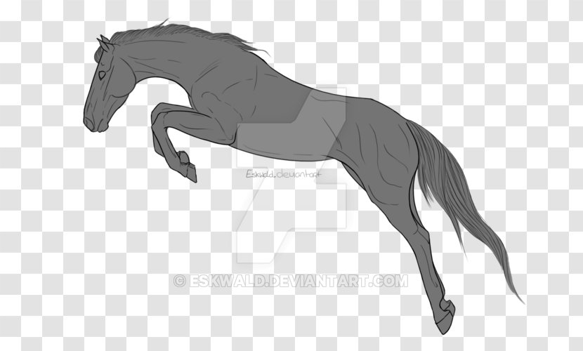 Pony Mane Stallion Foal Mustang - Rein Transparent PNG