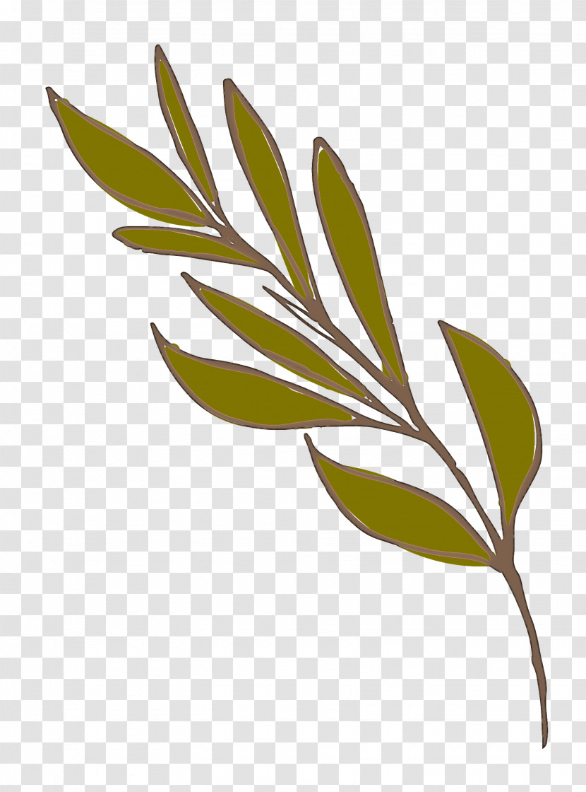 Leaf Plant Stem Twig Tree Flower Transparent PNG