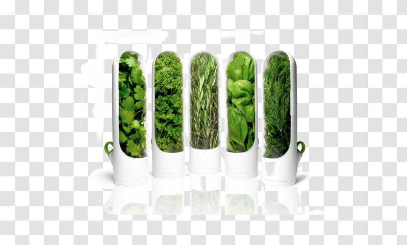 Herb Kitchen Chef Cooking - Basil - Herbes Transparent PNG