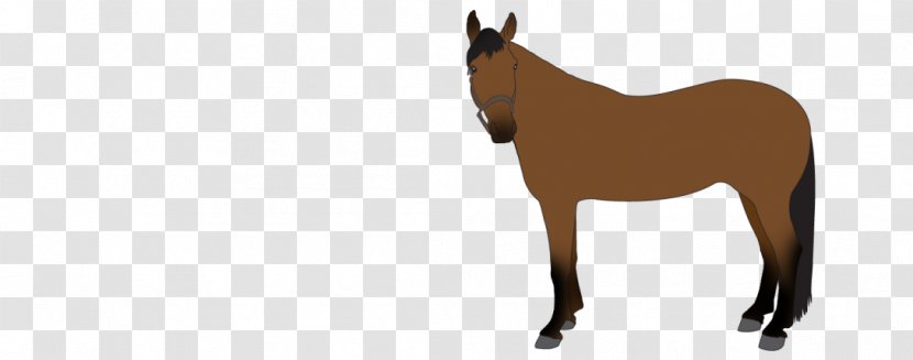 Mule Foal Stallion Colt Mare - Livestock - Horse Tack Transparent PNG