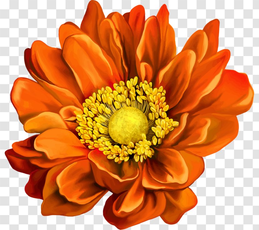 Mona Lisa Musxe9e Du Louvre Flower Stock Photography - Orange Chrysanthemum Transparent PNG