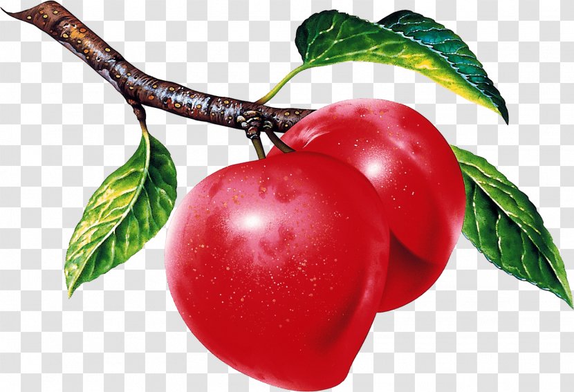 Fruit Desktop Wallpaper Plum Food Apple - Tree Transparent PNG