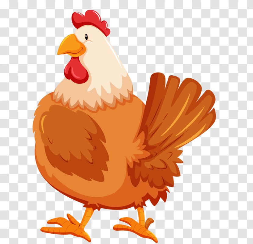 Chicken - Poultry - Cartoon Hen Transparent PNG