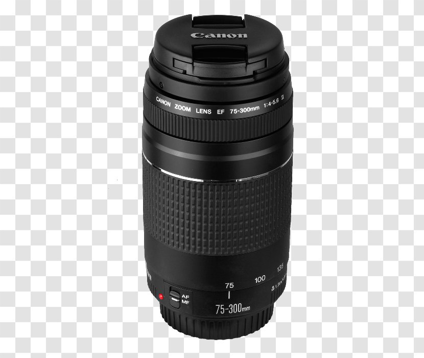 Digital SLR Camera Lens Teleconverter - Empresa Transparent PNG