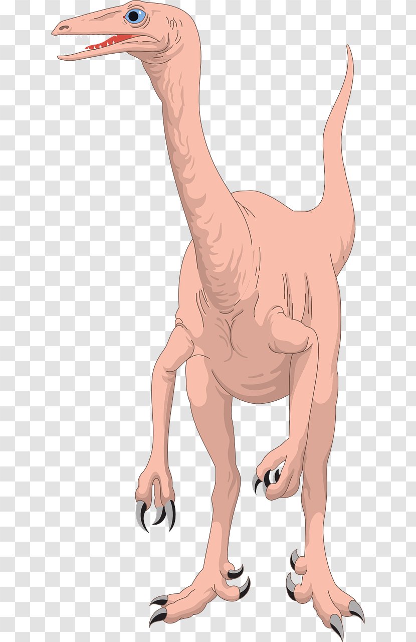 Reptile Dinosaur Stegosaurus Spinosaurus - Mammal Transparent PNG