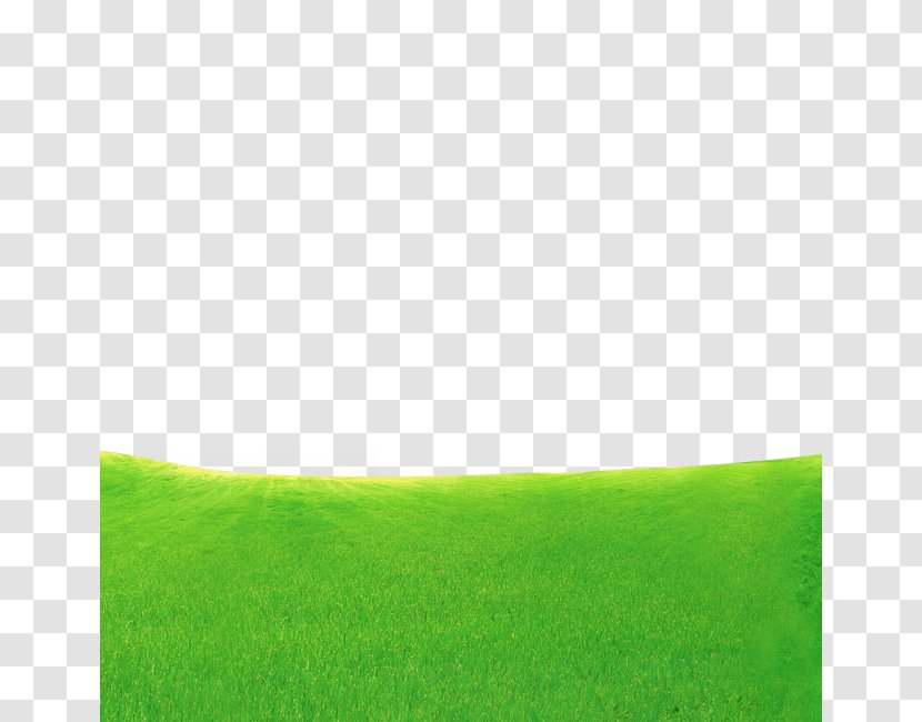 Lawn Grassland Sky Atmosphere Wallpaper - Creative Green Grass Transparent PNG