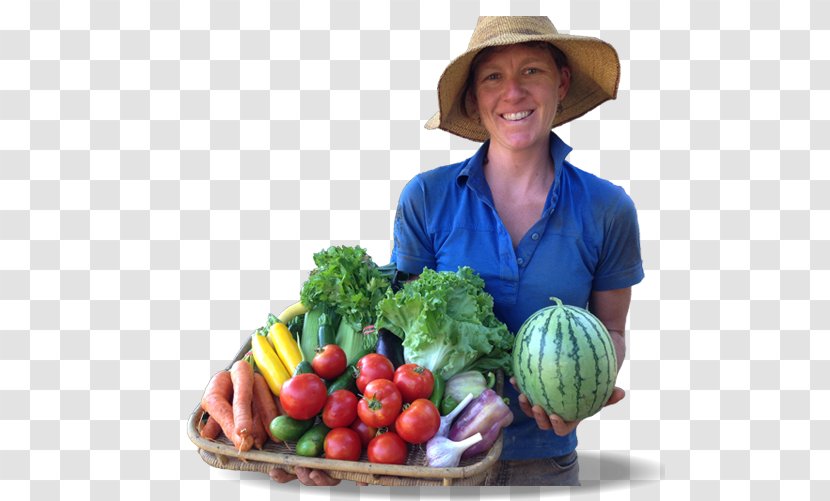 Leaf Vegetable Vegetarian Cuisine Whole Food Diet - Superfood - Farm Transparent PNG