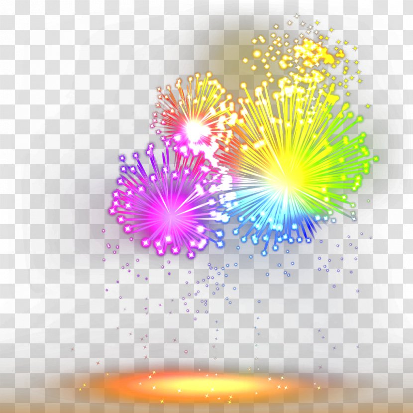 Fireworks Explosion - Flower - Tree Transparent PNG