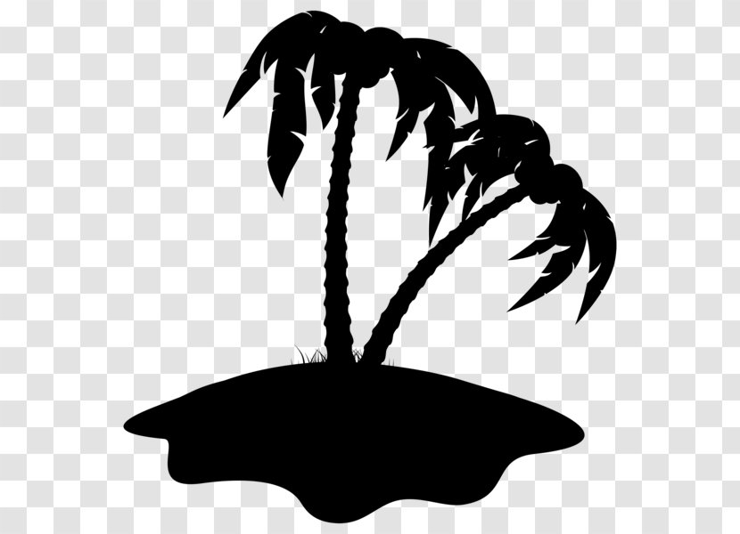 Clip Art Coconut Palm Trees Drawing - Plant - Stencil Transparent PNG