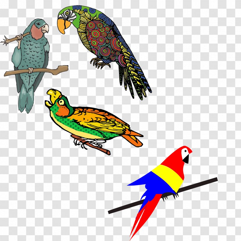 Budgerigar Lovebird Parrot - Beak - Colored Flock Of Birds Transparent PNG