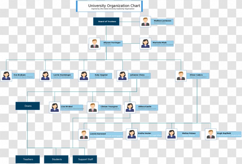 Organizational Chart Structure Business - Management Transparent PNG