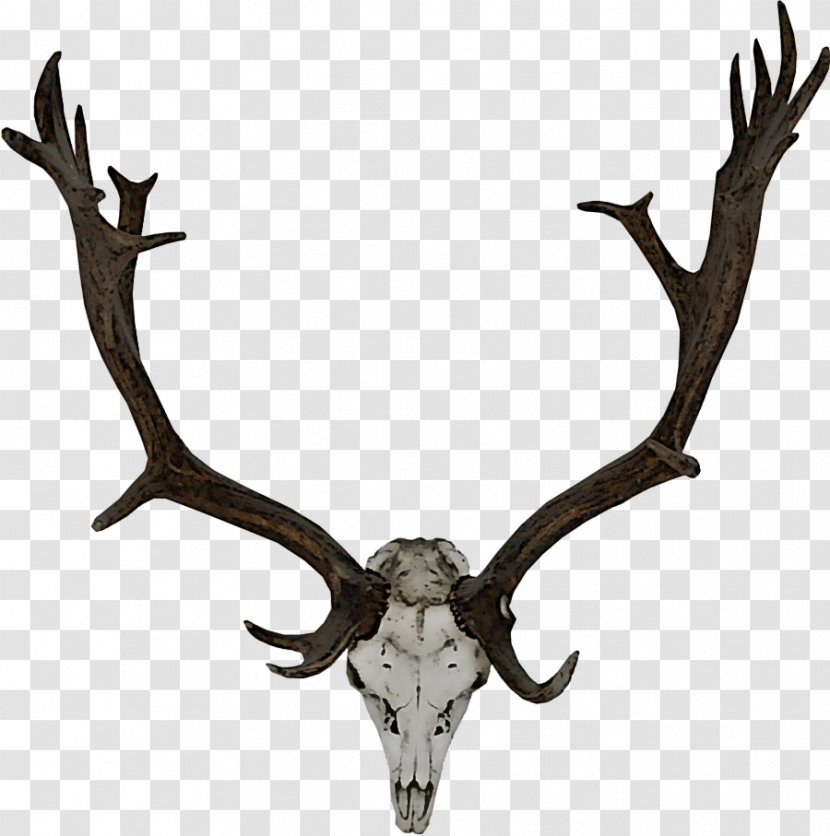 Reindeer - Moose Trophy Hunting Transparent PNG