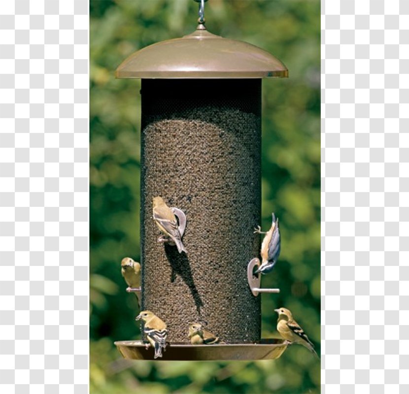 Finch Bird Feeders Hummingbird Squirrel - Giant Transparent PNG