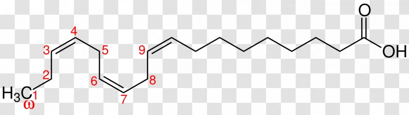 Amino Acid Pyrrolysine Methyl Group Fluorenylmethyloxycarbonyl Protecting - Alpha Linolenic Transparent PNG