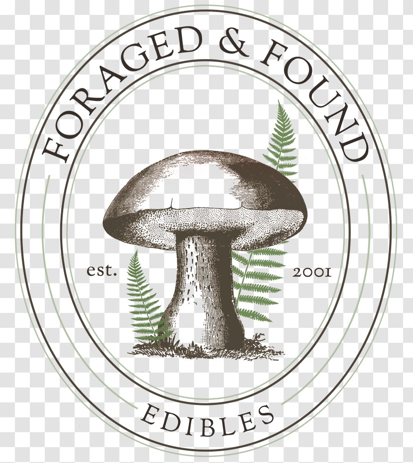 Edible Mushroom Drawing Clip Art Image - Fungus - Wild Berries Transparent PNG