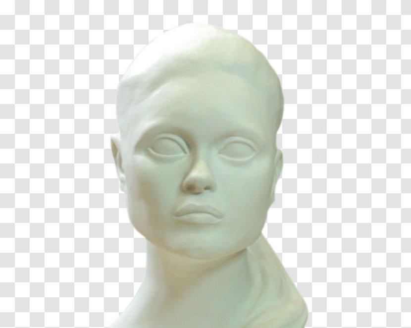 Forehead Classical Sculpture Mannequin Jaw Chin - Septoplasty Surgery Cost Transparent PNG