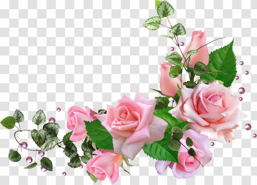 Garden Roses Centifolia Flower Bouquet Floral Design Transparent PNG