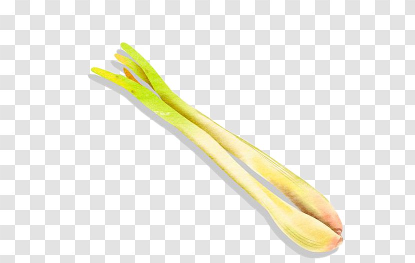 Scallion Allium Fistulosum Onion - Spoon - Painted Green Onions Transparent PNG