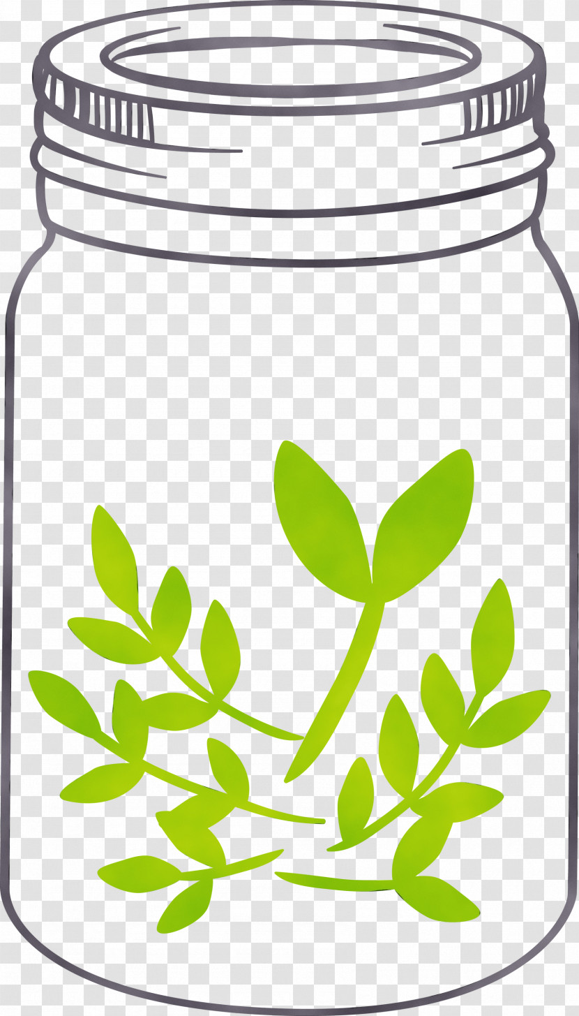 Food Storage Containers Leaf Herbal Medicine Herb Tree Transparent PNG