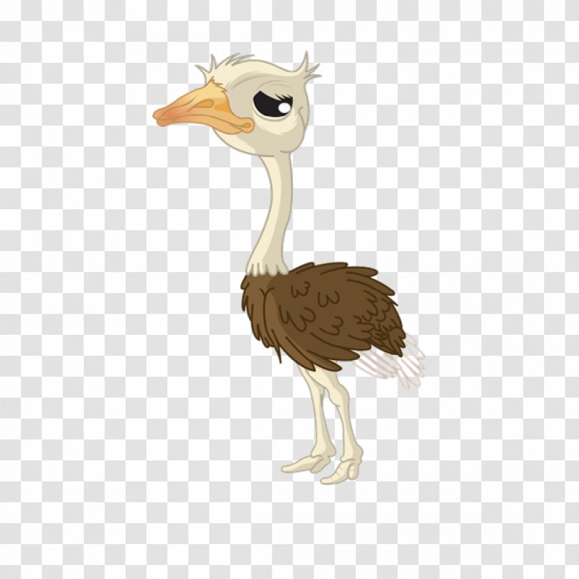 Common Ostrich Cartoon Drawing - Beak Transparent PNG