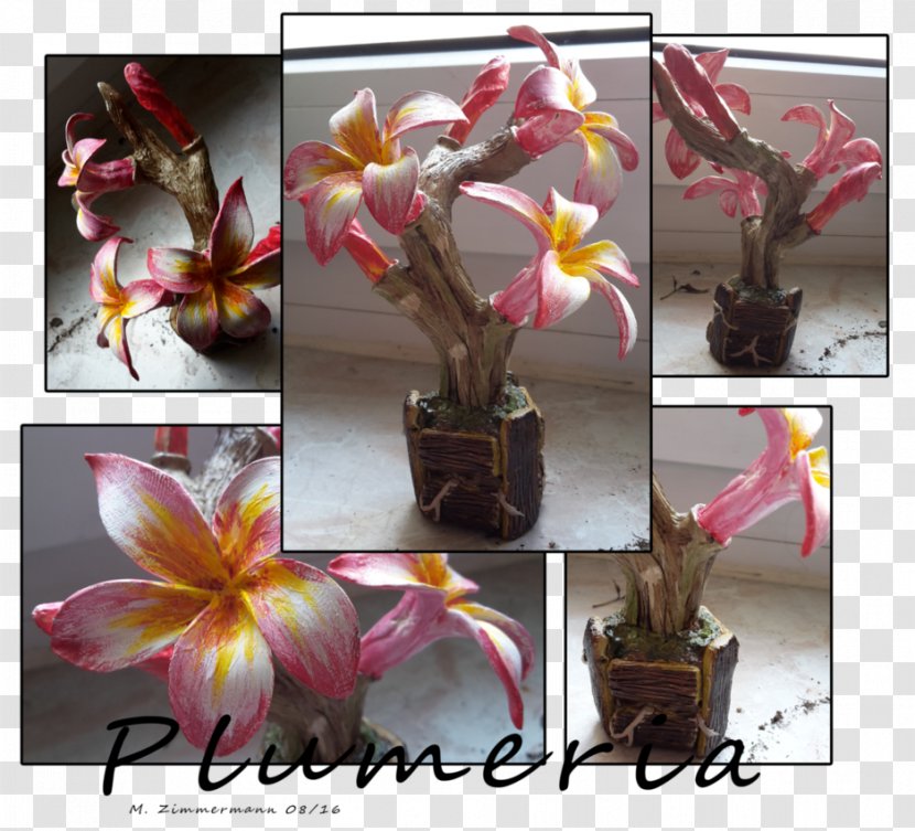 Cut Flowers Plant Terrarium Clay - Plumeria Transparent PNG