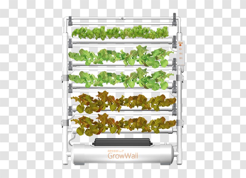 Hydroponics The International Consumer Electronics Show Farm Product Grow Box - Service - 6 Site Hydroponic Transparent PNG