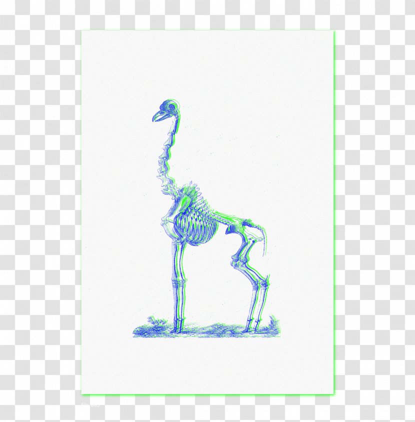 Northern Giraffe Neck Camelopardalis Turquoise - Giraffidae Transparent PNG