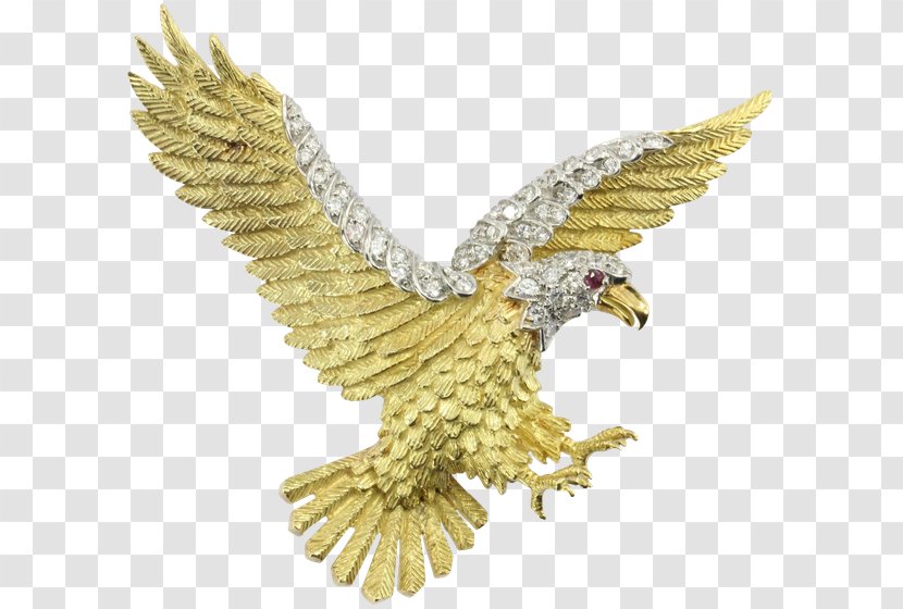 Bald Eagle Jewellery Gold Brooch - Bird Transparent PNG