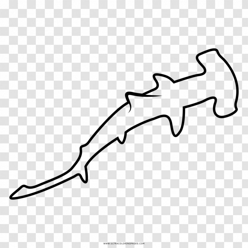 Shark Great Hammerhead Drawing Coloring Book Bonnethead - Arm Transparent PNG