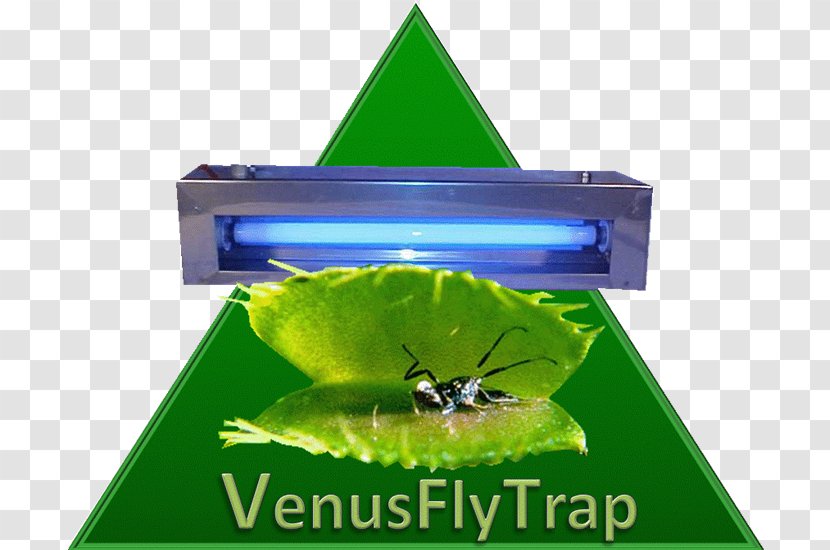 Insect Green Venus Flytrap Transparent PNG