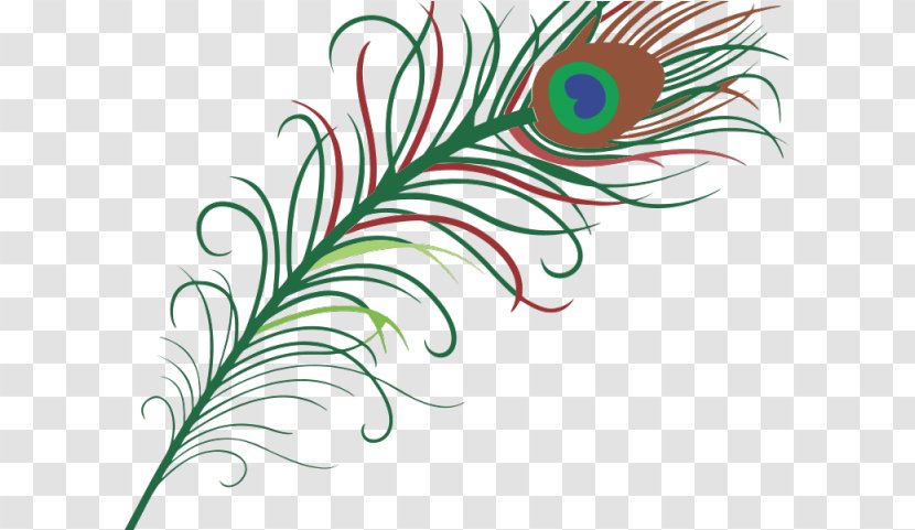 Cartoon Grass - Desi Natural Peacock Eye Feathers Tails - Material Transparent PNG