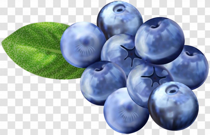 Blueberry Grape Bilberry Huckleberry Clip Art - Blueberries Transparent PNG