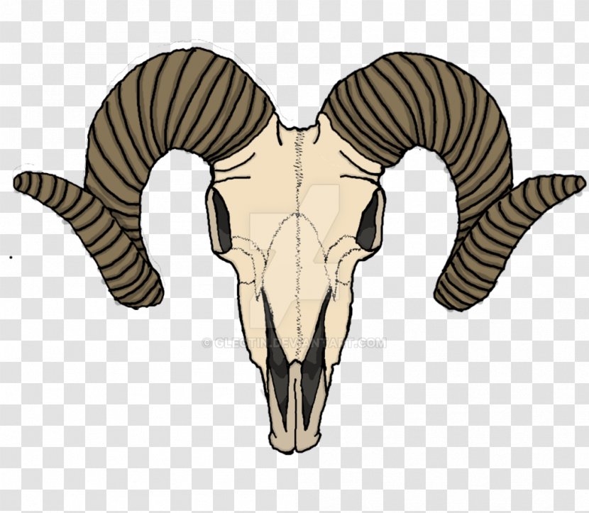 Goat Sheep Human Skull Symbolism - Cattle Like Mammal Transparent PNG