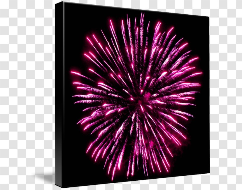Fireworks Party - Pink Transparent PNG