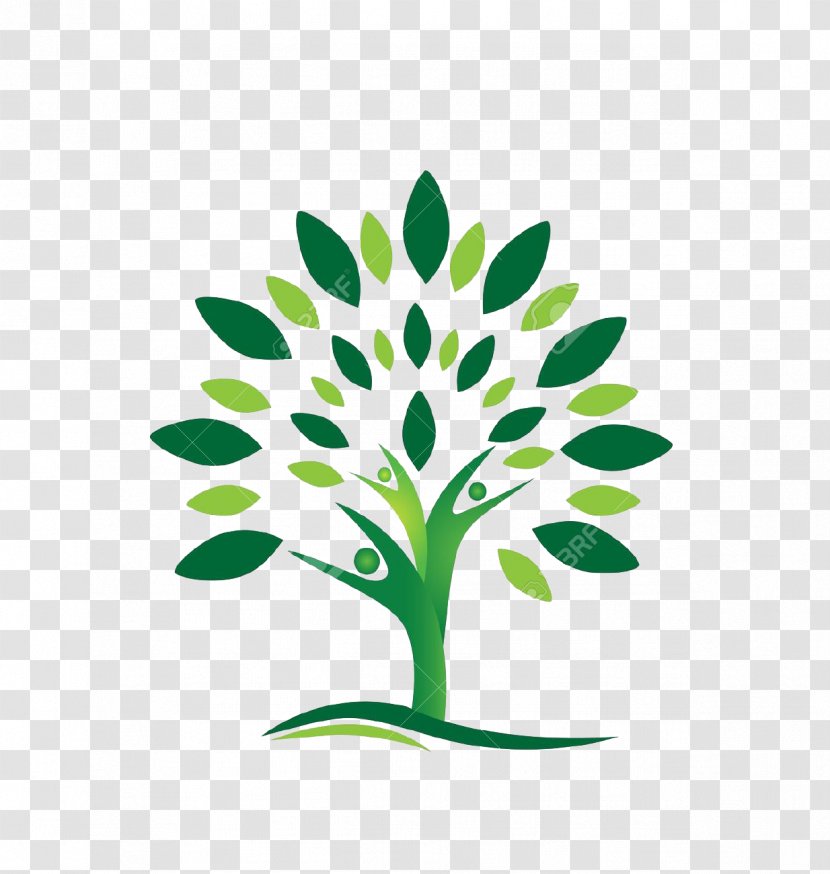 Stock Photography Logo Clip Art - Flora - Tree Transparent PNG