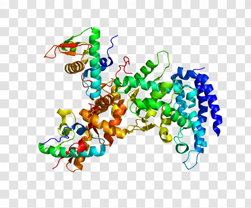 ESCRT Vacuolar Protein Sorting VPS25 Targeting - Silhouette - Heart Transparent PNG