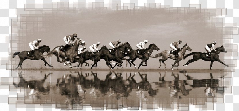Lalehzar, Kerman Kūh-e Lālehzār Mustang Equestrian Horse Harnesses - Rein Transparent PNG