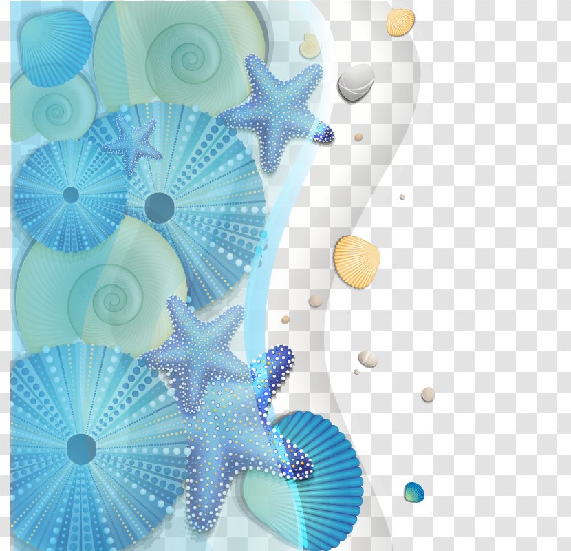 Cartoon Sea - Wall - Vector Seashells Transparent PNG