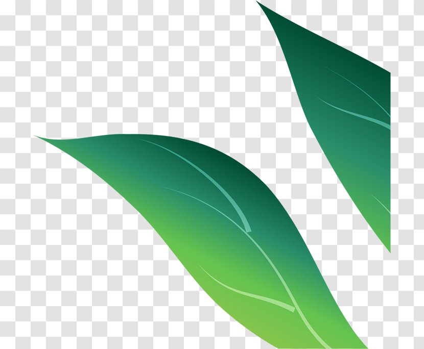 Green Leaf - Colorful Run Transparent PNG